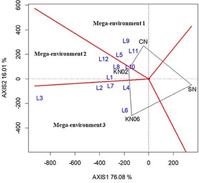 Native Bradyrhizobium Strains From Ghana Can Enhance Grain Yields of Field-Grown Cowpea and Groundnut